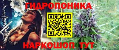 стафф Балаково