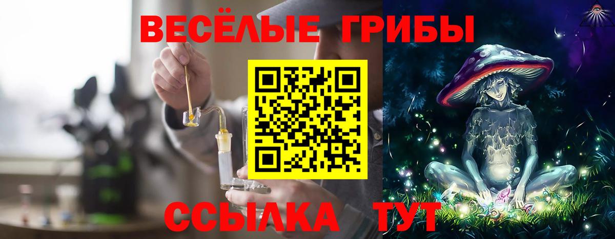 наркошоп  Псилоцибиновые грибы мухоморы  Вход с VPN  Великий Новгород 