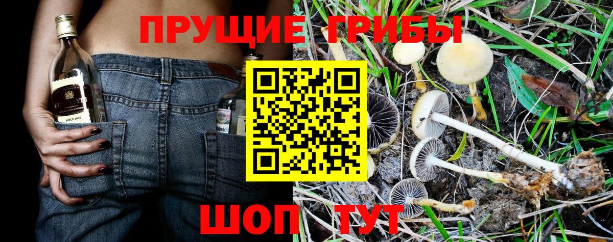 Галлюциногенные грибы Magic Shrooms Великий Новгород